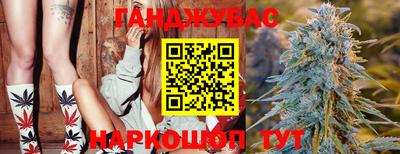 сатива Дубна