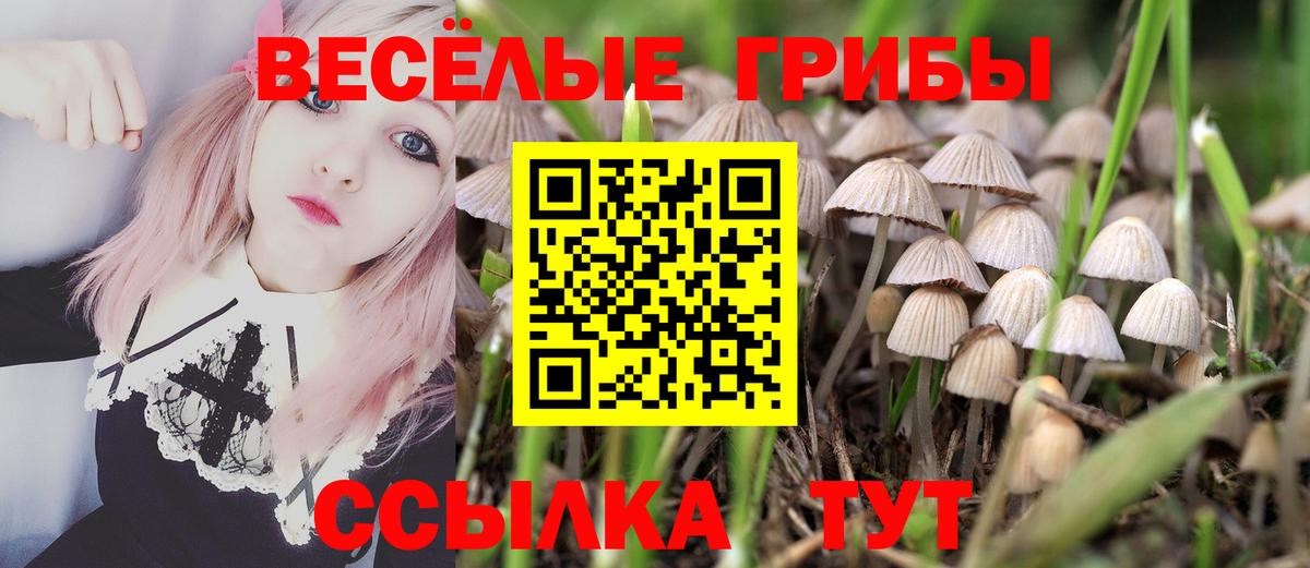 Псилоцибиновые грибы MAGIC MUSHROOMS Миллерово