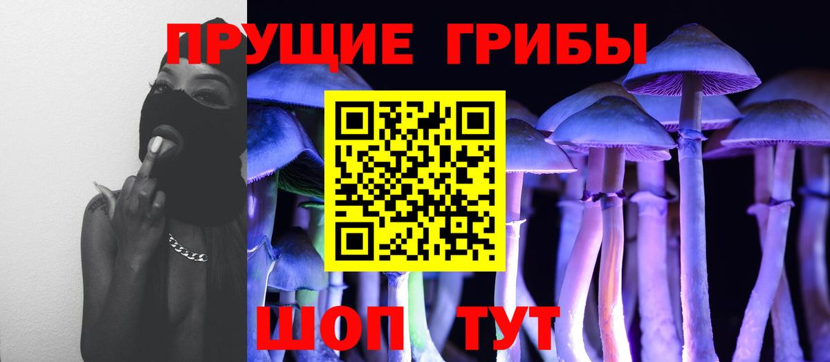 дарнет шоп  Вход с VPN  Миллерово  Псилоцибиновые грибы мухоморы 
